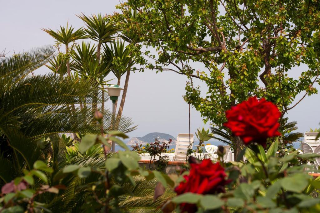Villa Ersilia Ponza Exterior photo